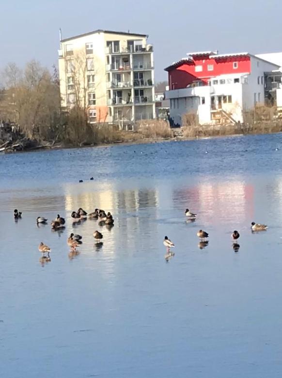 Seehotel Forst Forst  Экстерьер фото